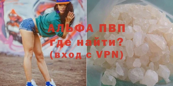 прущие грибы Богородицк