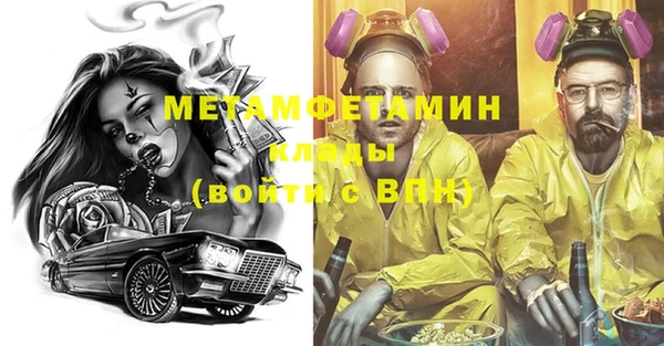 гидра Богородск