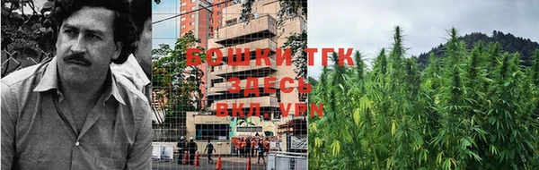 ПСИЛОЦИБИНОВЫЕ ГРИБЫ Бородино